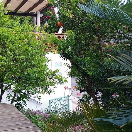Appartement Les Murmures Des Albères *