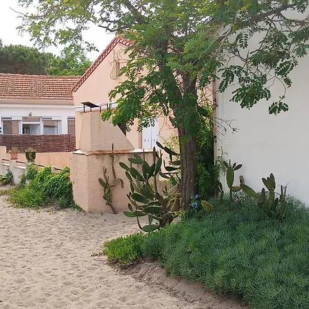 Appartement Les Murmures Des Albères *
